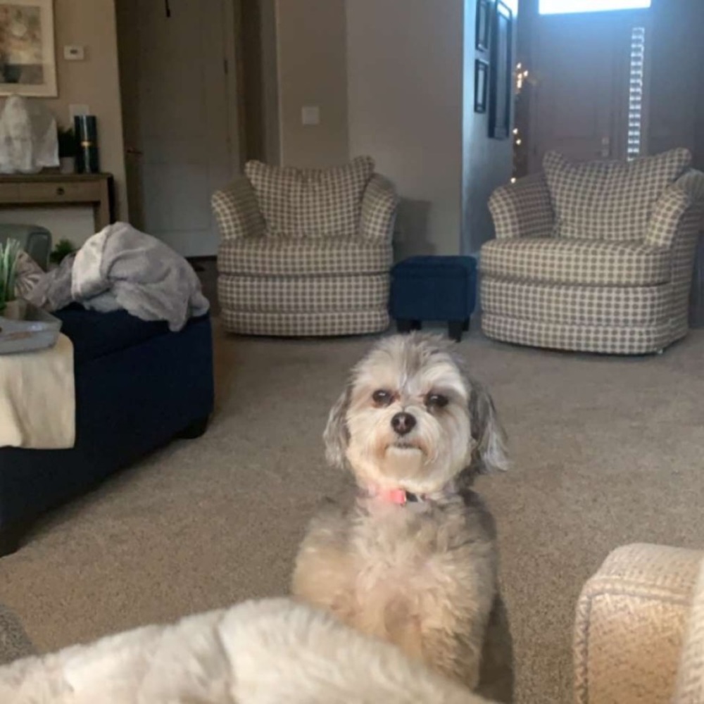 Meet your Posher, Ashlyn